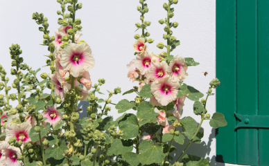 Séjour romantique La Rochelle- 2